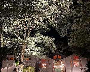 outdoor-lighting-installation-miami