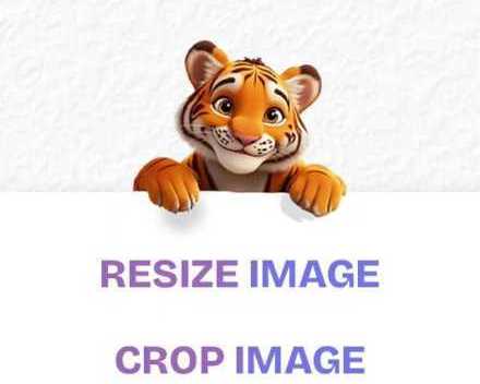 convert-images-in-just-a-few-clicks-with-resize-the-image