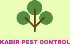 kabir-pest-control-kharghar-big-0
