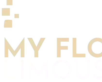 my-florida-limousine