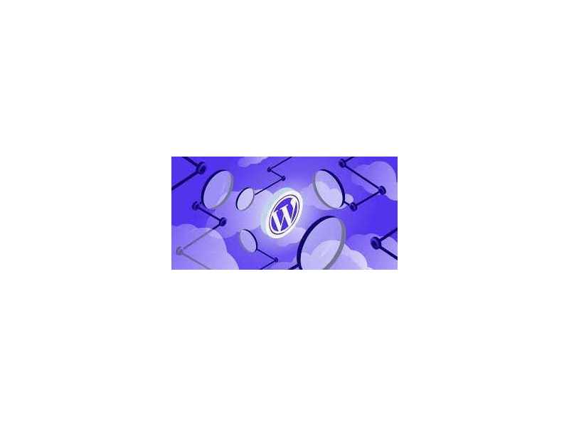 invoidea-offers-custom-wordpress-development-services-for-business-growth-small-0