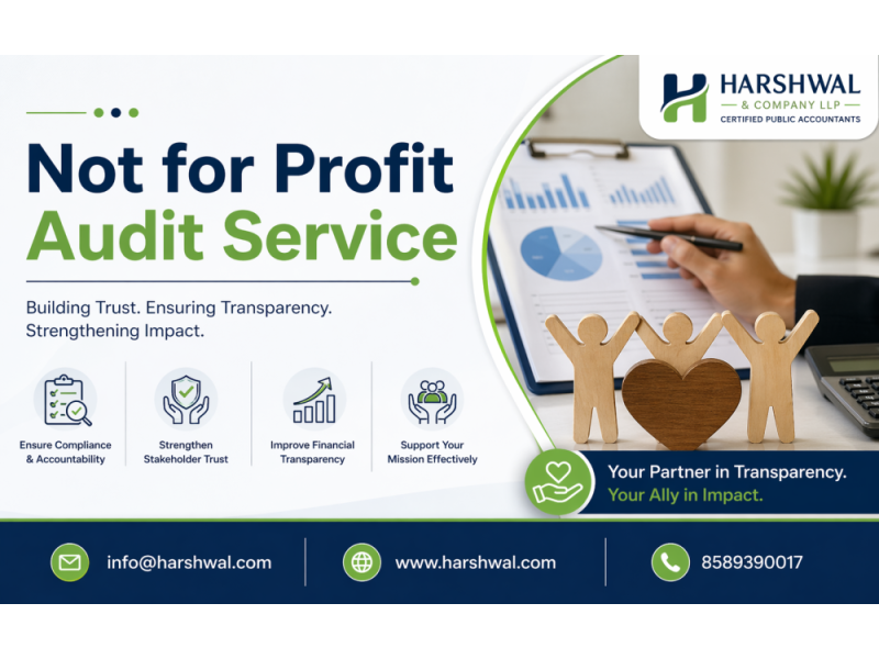 secure-not-for-profit-audit-service-for-better-financial-control-small-0