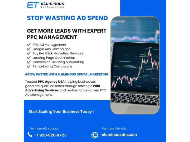 ppc-company-in-usa-helping-businesses-scale-efficiently-small-0