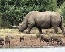 best-corporate-travel-services-in-zimbabwe-for-modern-businesses