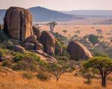 leading-corporate-travel-services-in-zimbabwe-for-business-growth