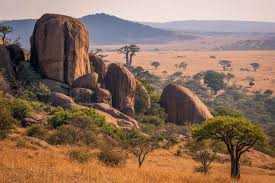 leading-corporate-travel-services-in-zimbabwe-for-business-growth-big-0