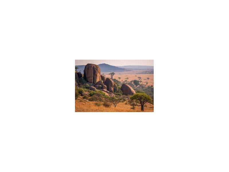 leading-corporate-travel-services-in-zimbabwe-for-business-growth-small-0
