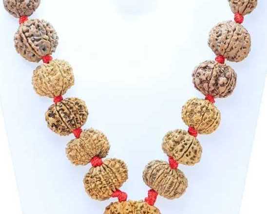 rudraksha-mala-benefits-a-sacred-tool-for-meditation-and-spiritual-growth