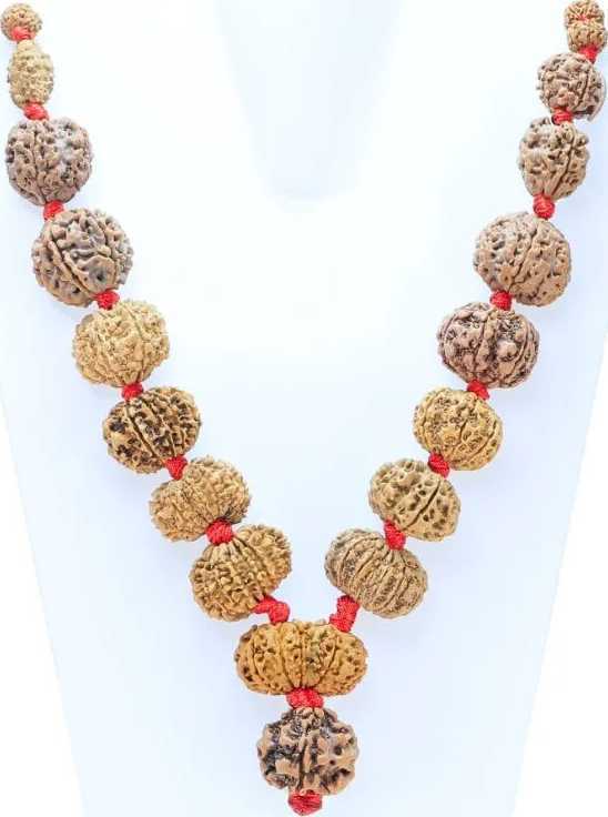 rudraksha-mala-benefits-a-sacred-tool-for-meditation-and-spiritual-growth-big-0