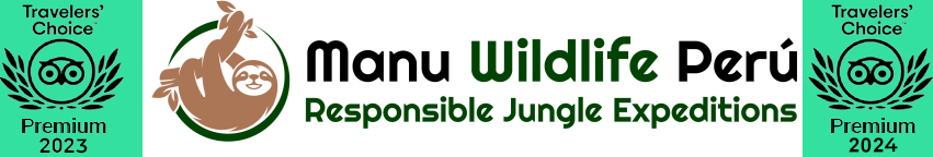 tambopata-jungle-tours-2-days-1-night-manu-wildlife-peru-big-0