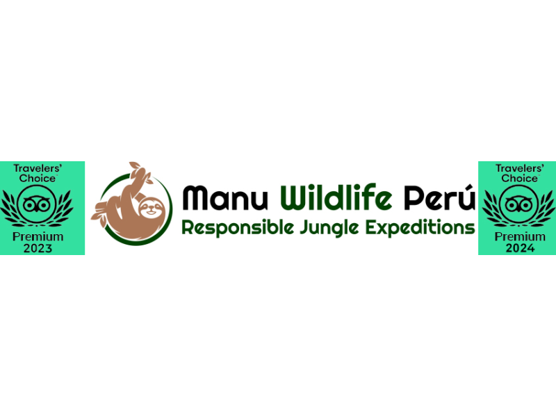 tambopata-jungle-tours-2-days-1-night-manu-wildlife-peru-small-0