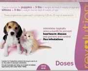 revolution-for-cats-sale-20-off-extra-5-off