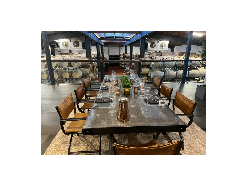 private-wine-tasting-tours-sonoma-napa-sonoma-valley-wine-tour-driver-small-0