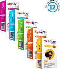bravecto-1-month-chew-for-dogs-monthly-flea-tick-protection-big-0