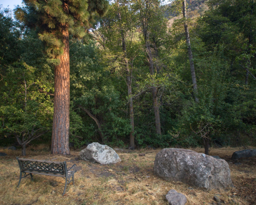 luxury-hotel-sequoia-national-park-experience-with-premium-comfort