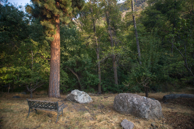luxury-hotel-sequoia-national-park-experience-with-premium-comfort-big-0