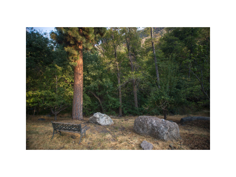 luxury-hotel-sequoia-national-park-experience-with-premium-comfort-small-0