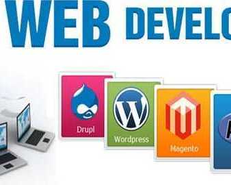 professional-website-design-by-vega-technologies-llc