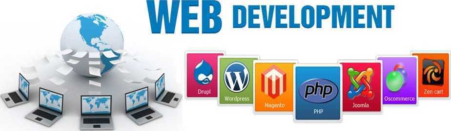 professional-website-design-by-vega-technologies-llc-big-0