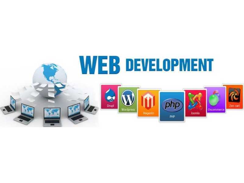 professional-website-design-by-vega-technologies-llc-small-0