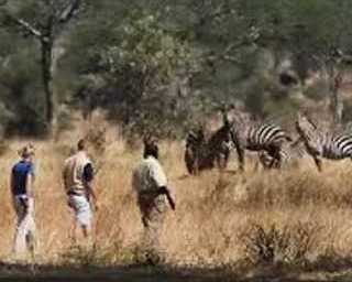 what-makes-family-safaris-in-south-africa-truly-unforgettable