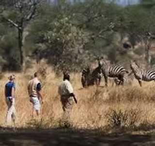 what-makes-family-safaris-in-south-africa-truly-unforgettable-big-0