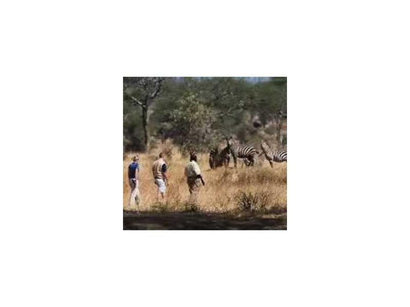 what-makes-family-safaris-in-south-africa-truly-unforgettable-small-0