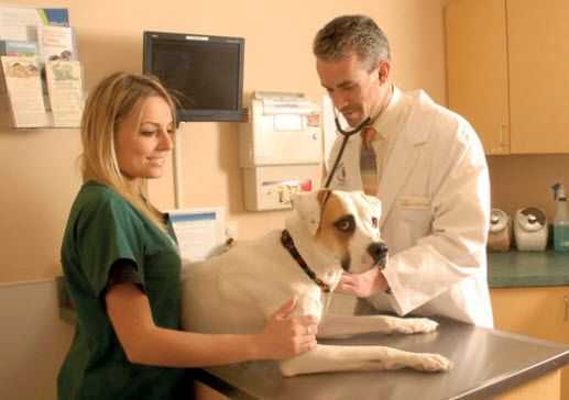 mag-medical-equipment-veterinary-equipment-big-0