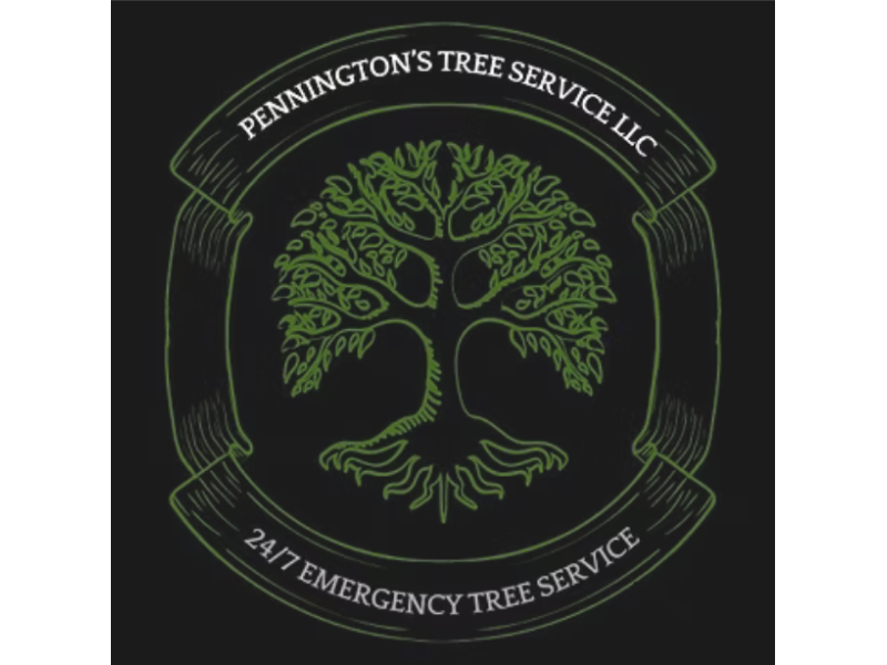 penningtons-tree-service-columbus-ohio-small-0