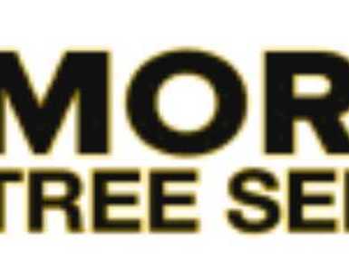 dade-city-tree-service-with-experienced-tree-care-team