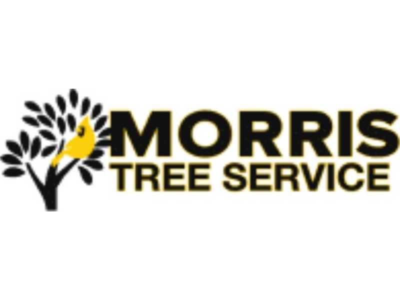 dade-city-tree-service-with-experienced-tree-care-team-small-0