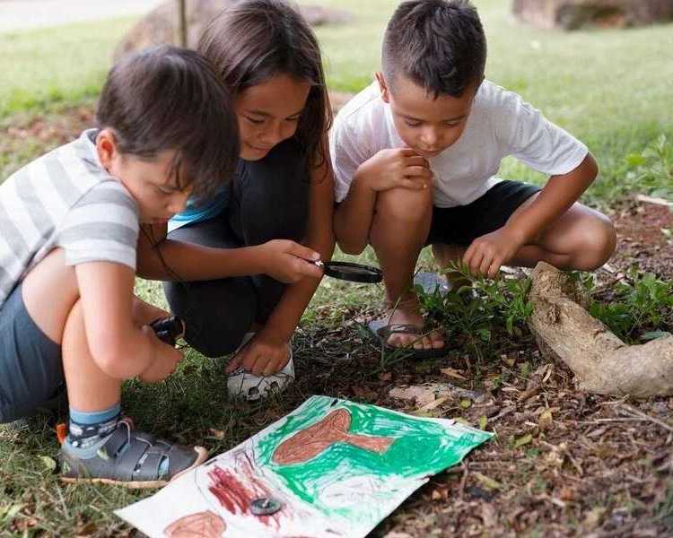nature-preschools-portland-outdoor-learning-at-new-day-school