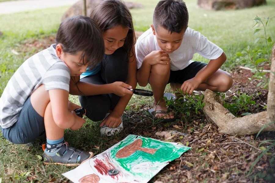 nature-preschools-portland-outdoor-learning-at-new-day-school-big-0