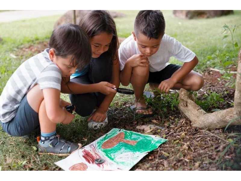nature-preschools-portland-outdoor-learning-at-new-day-school-small-0