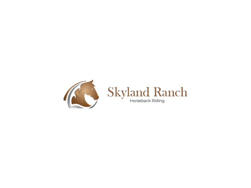 discover-the-best-horseback-riding-in-seattle-small-0