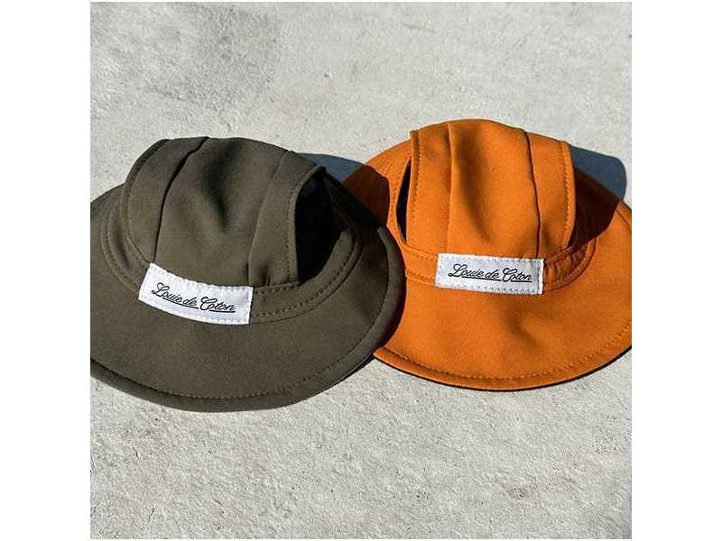 shop-high-quality-dog-and-cat-accessories-online-small-0