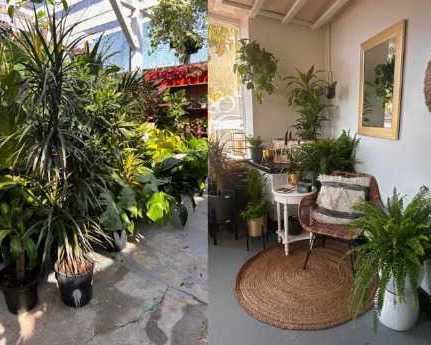 best-nurseries-in-west-la-urban-jungle-plants-and-pottery