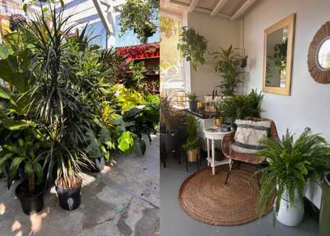 best-nurseries-in-west-la-urban-jungle-plants-and-pottery-big-0