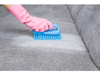 Sofa carpet cleaning services in Panchkula