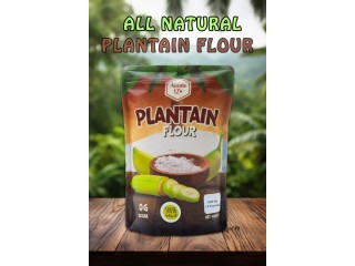 TA Food Preservation: Your Source for Plantain Powder or Plantain flour