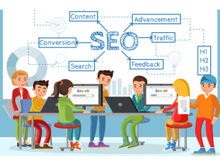 Achieving Top Rankings: Expert SEO Services by SEO Expert USA