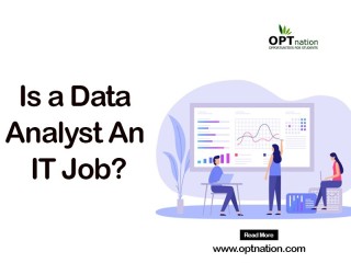 Is A Data Analyst An IT Job?