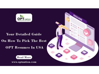 Your Detailed Guide On How To Pick The Best OPT Resumes In USA