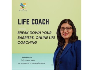 Break Down Your Barriers: Online Life Coaching