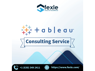 Tableau Professional Services | FEXLE