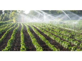 The Vital Role of International Irrigation Design