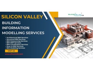 Building Information Modelling Services Ventures - USA