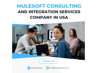 Mulesoft Consulting and Integration Services Company