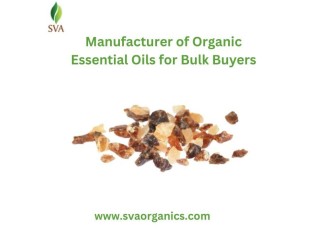 Manufacturer of Organic Essential Oils for Bulk Buyers