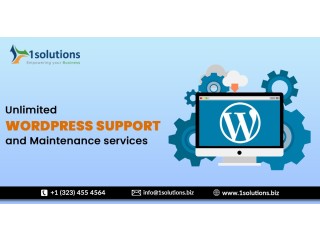 Unlimited WordPress Support and Maintenance services